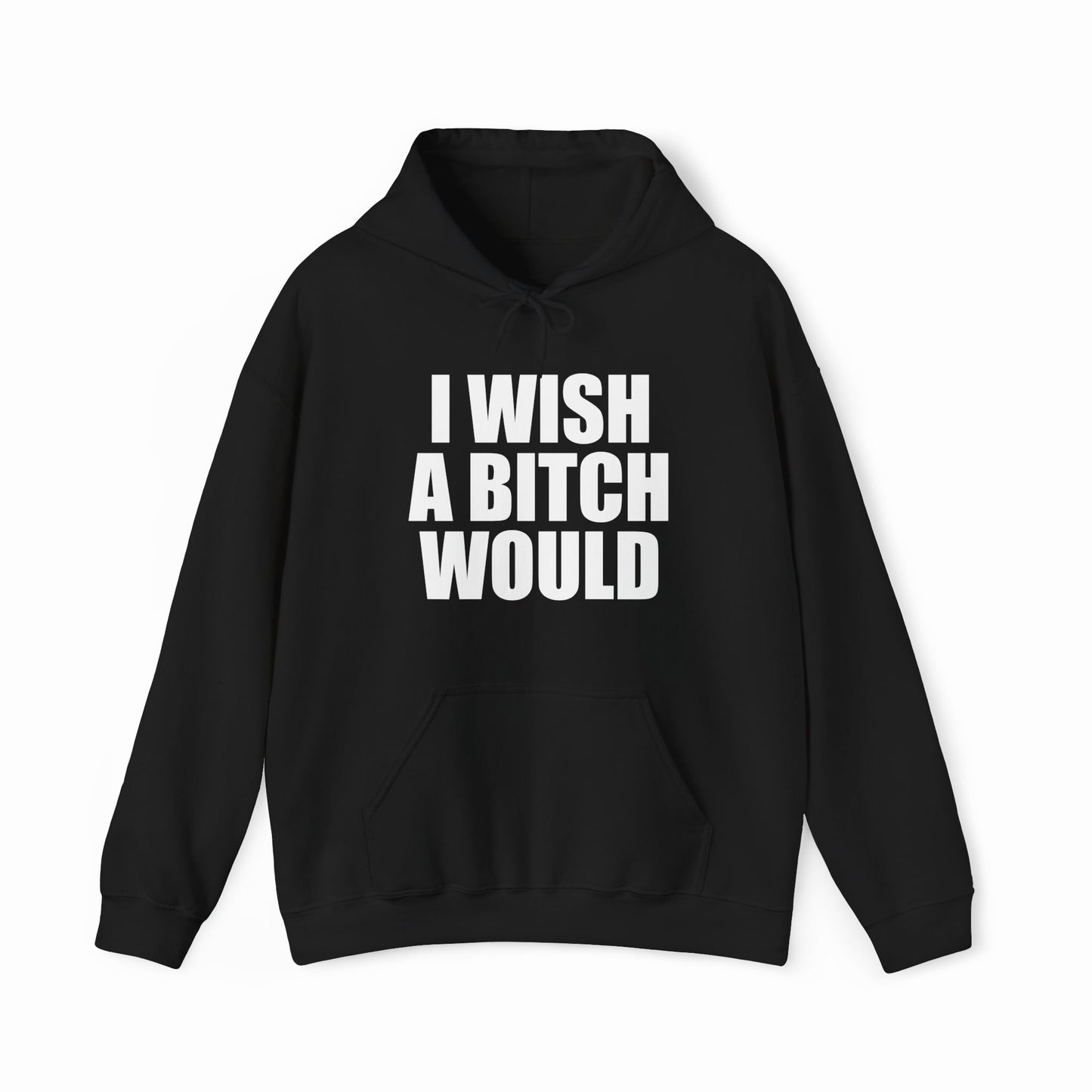 I Wish A Bitch Would Hoodie