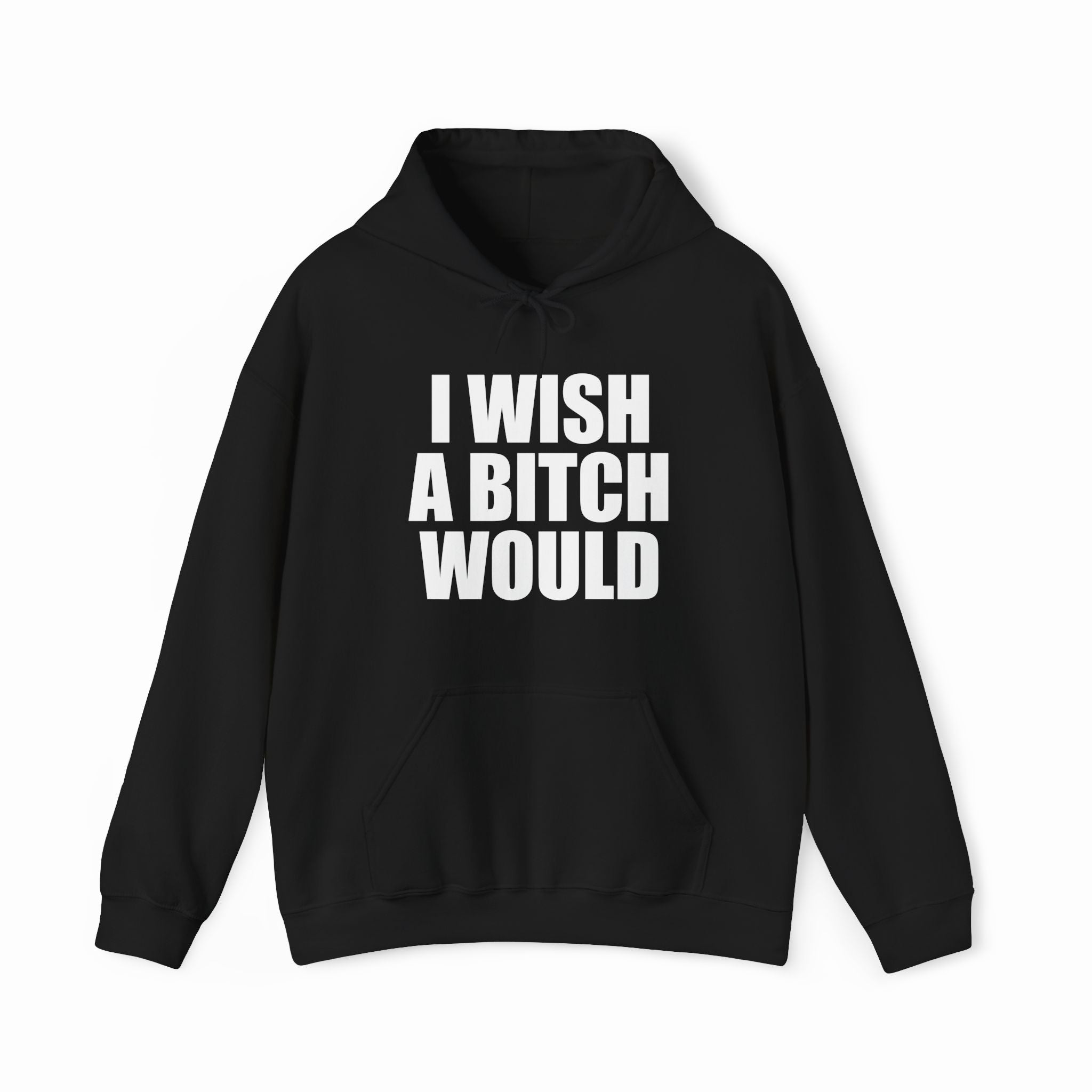 I Wish A Bitch Would Hoodie