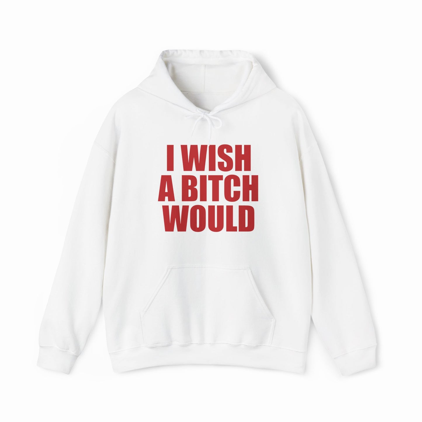 I Wish A Bitch Would Hoodie