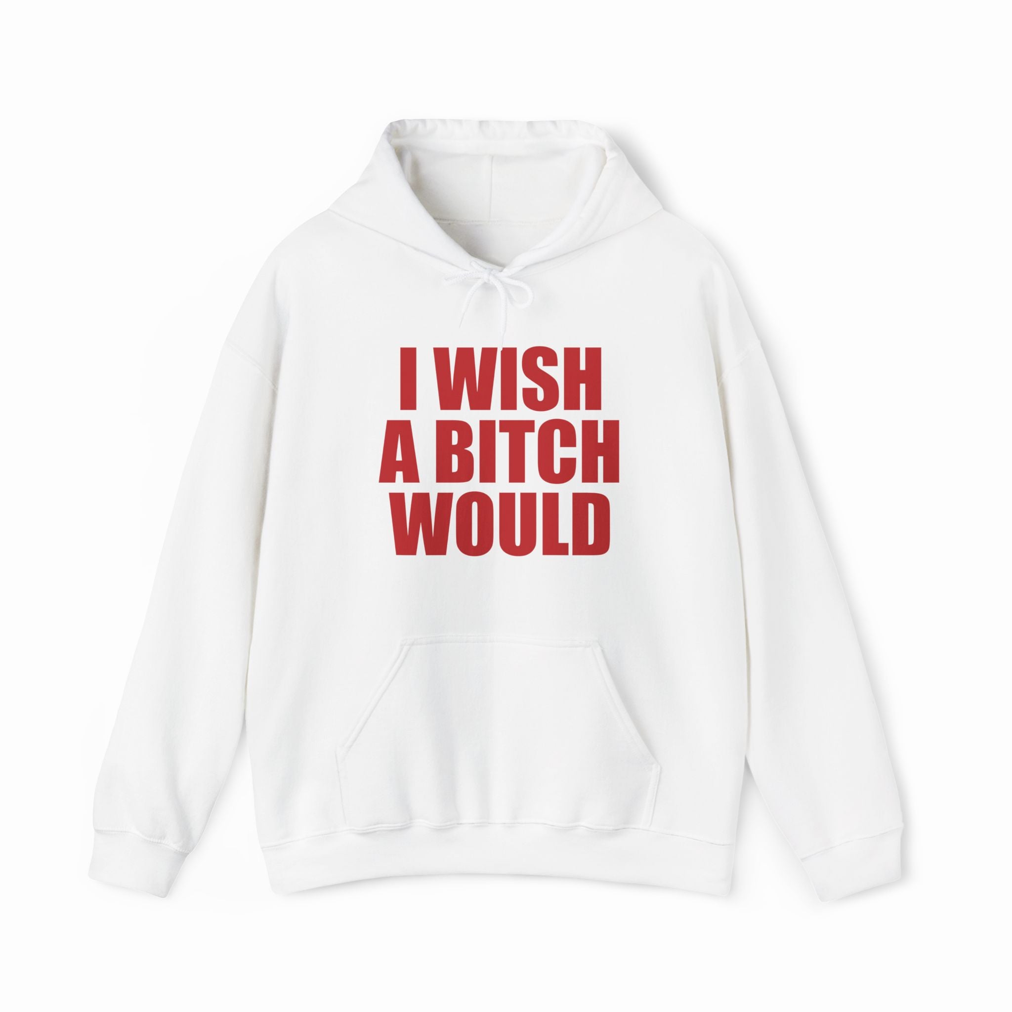 I Wish A Bitch Would Hoodie