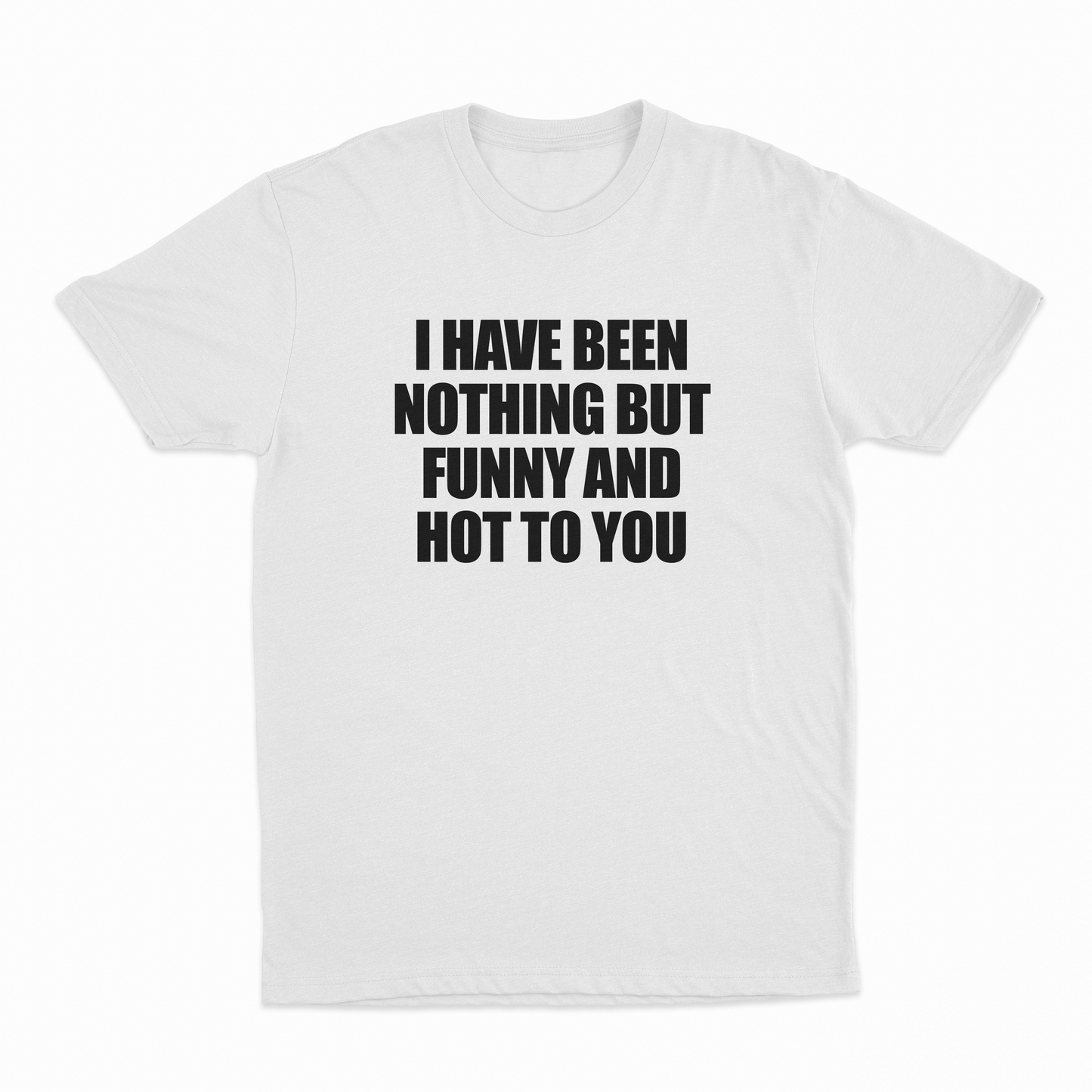 I Have Been Nothing But Hot And Funny To You T-Shirt