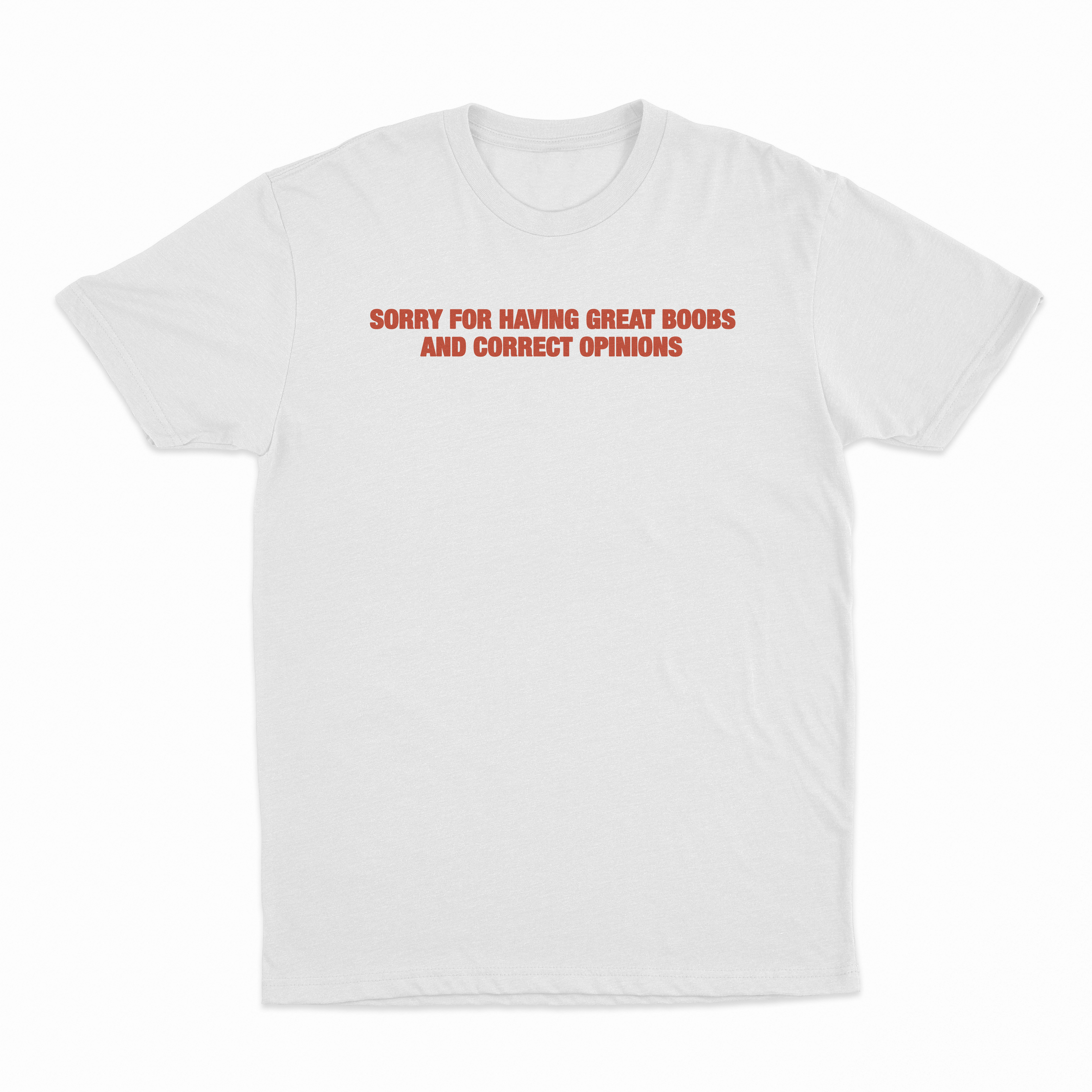 Sorry For Having Great Boobs And Correct Opinions T-Shirt