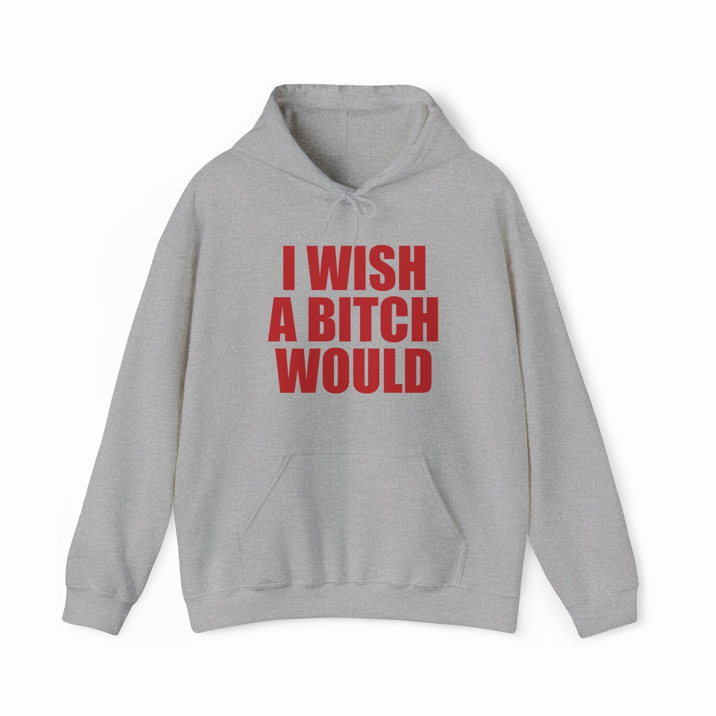 I Wish A Bitch Would Hoodie