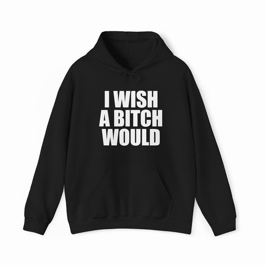 I Wish A Bitch Would Hoodie