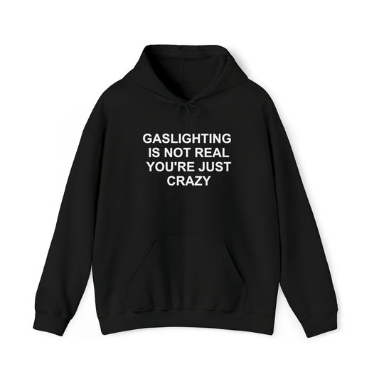 Gaslighting Is Not Real You're Just Crazy Hoodie