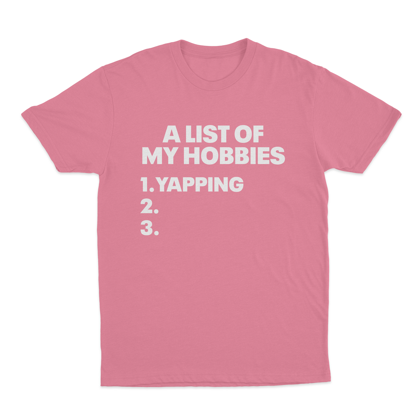 A List Of My Hobbies T-Shirt