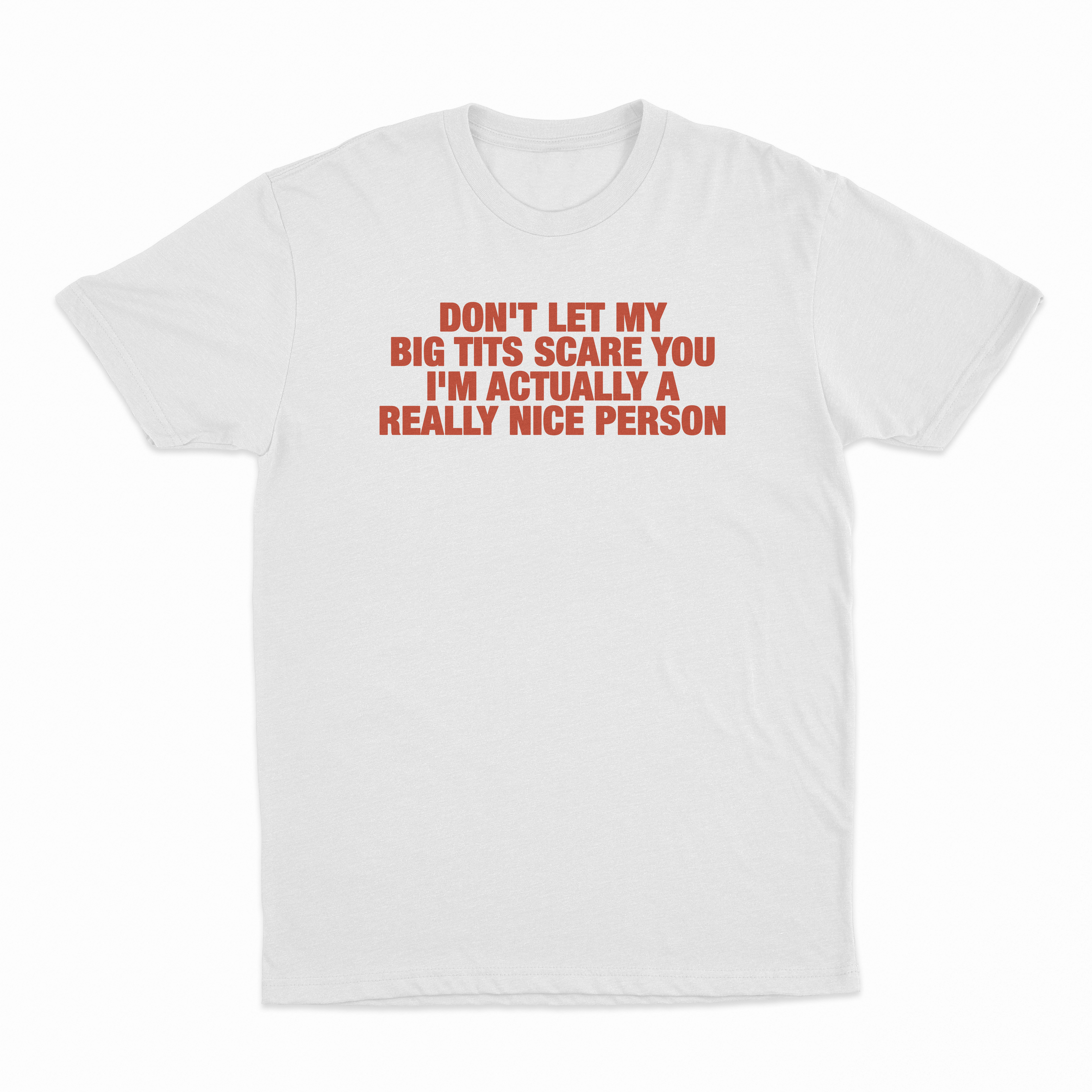 Don't Let My Big Tits Scare You I'm Actually A Really Nice Person T-Shirt
