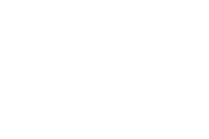 Delulu Designs