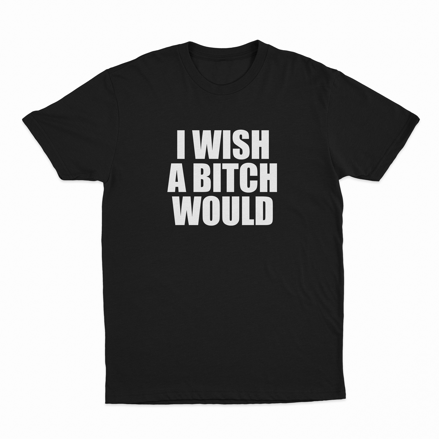 I Wish A Bitch Would T-Shirt