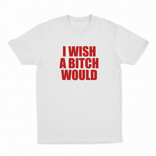 I Wish A Bitch Would T-Shirt