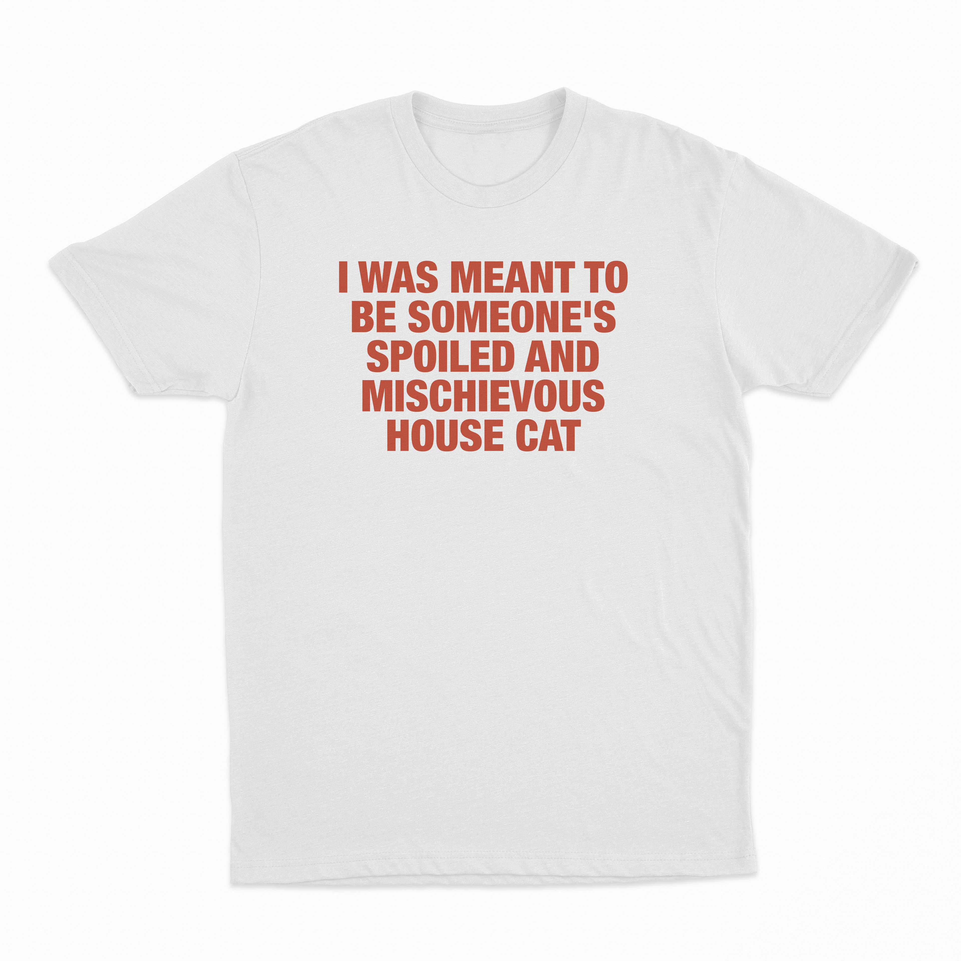 I Was Meant To Be Someone's Spoiled And Mischievous House Cat T-Shirt