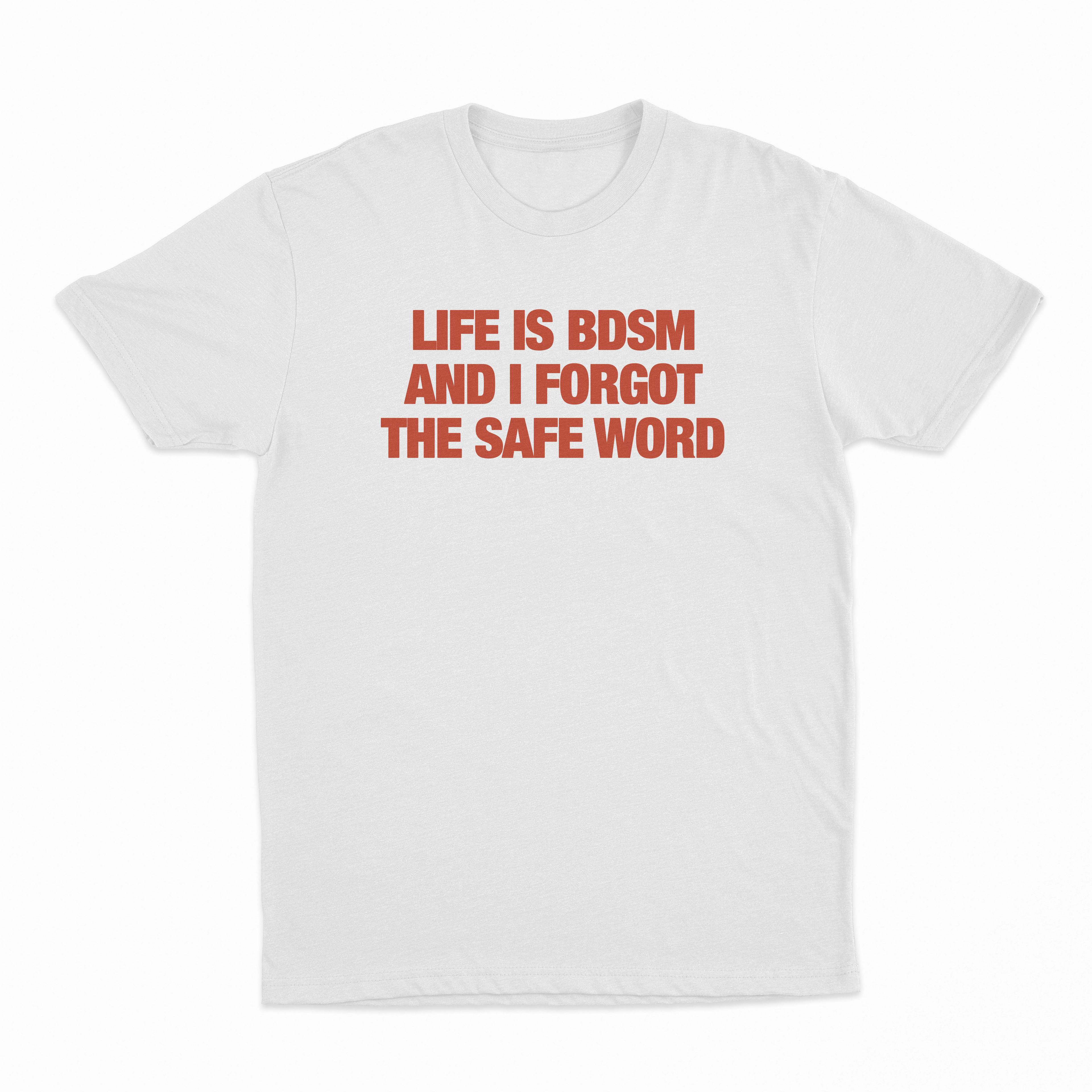 Life Is BDSM And I Forgot The Safe Word T-Shirt