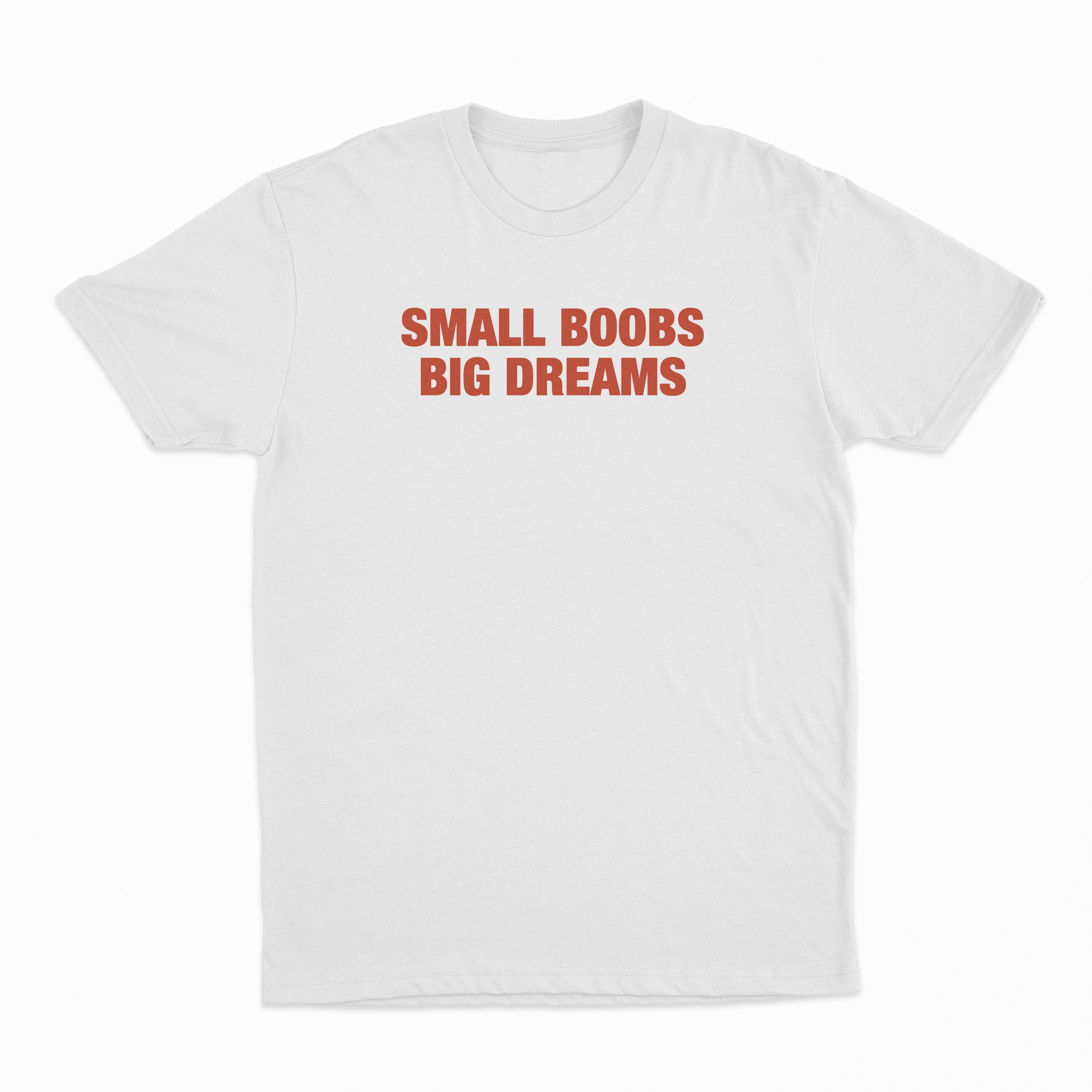 Small Boobs Big Dreams T-Shirt