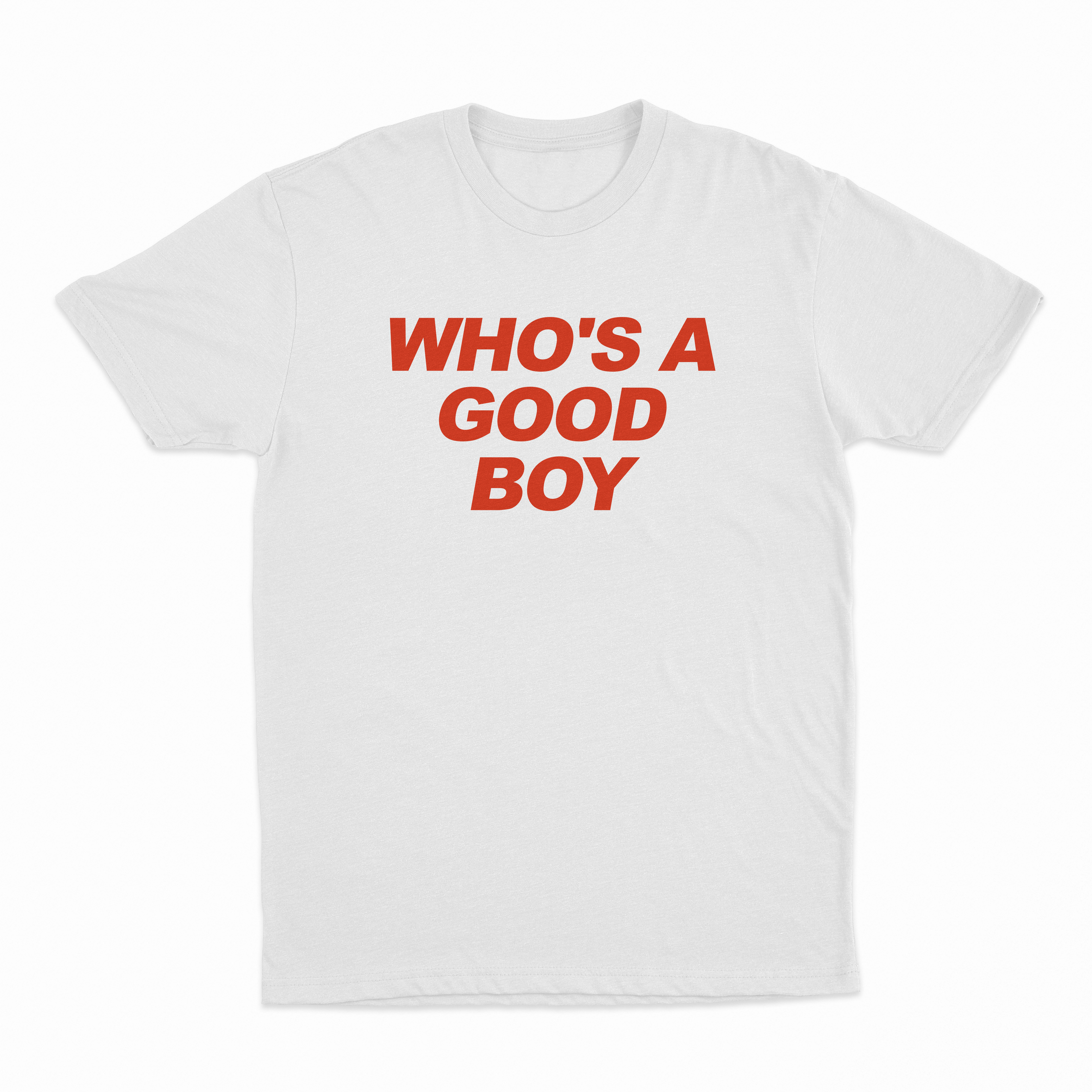 Who's A Good Boy T-Shirt