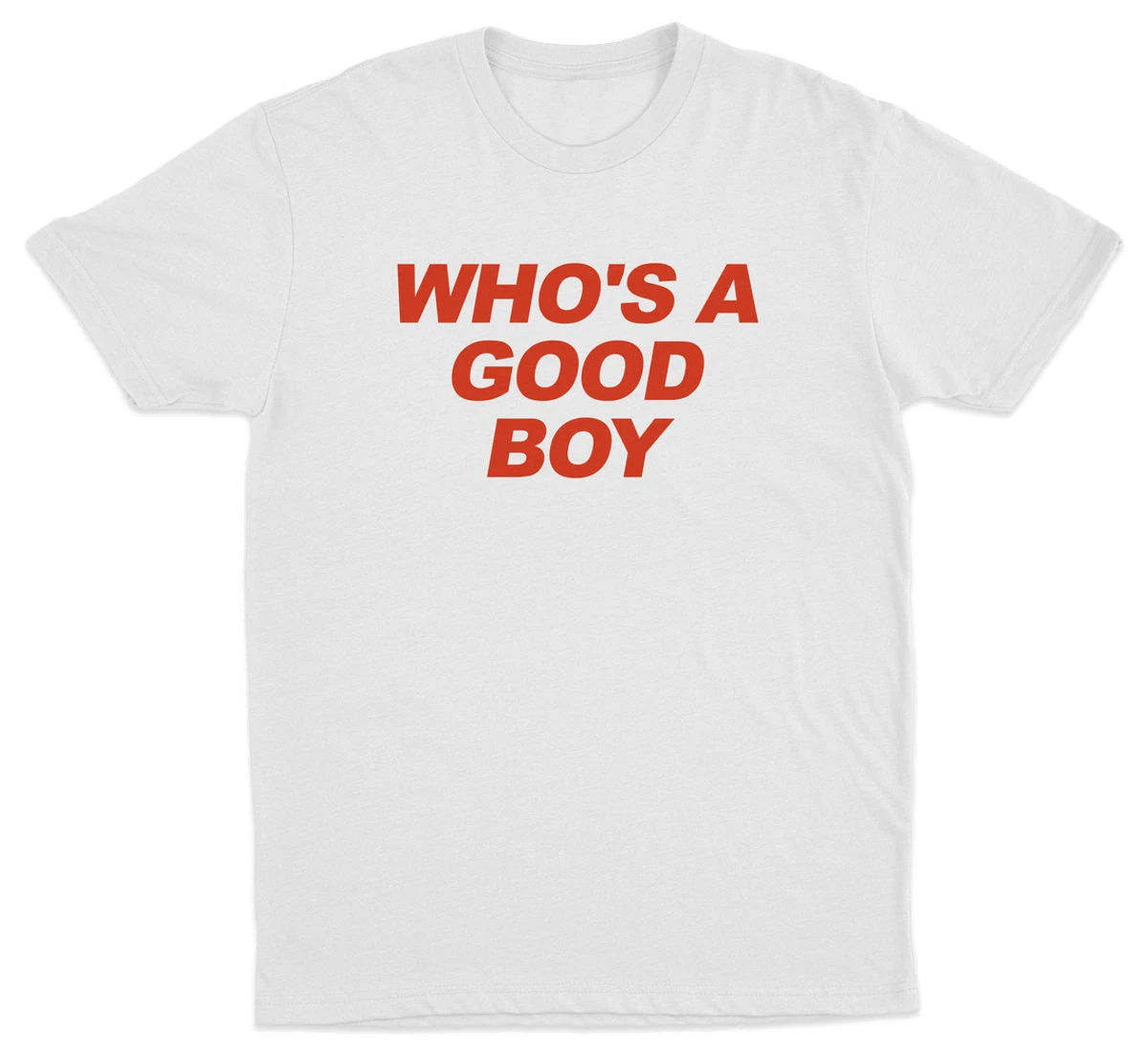 Who's A Good Boy T-Shirt