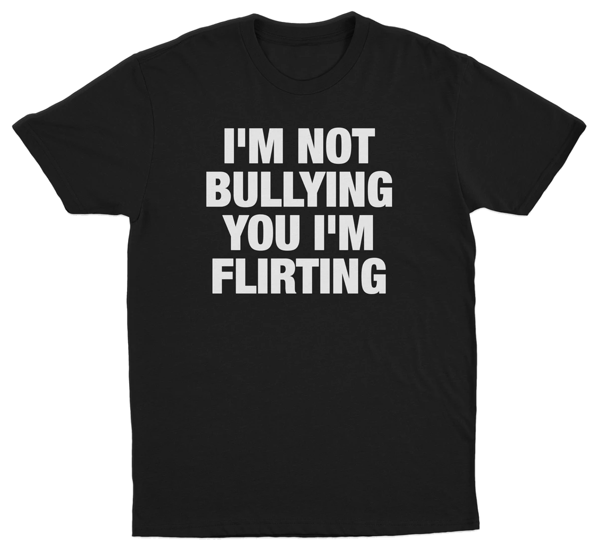 I'm Not Bullying You I'm Flirting T-Shirt