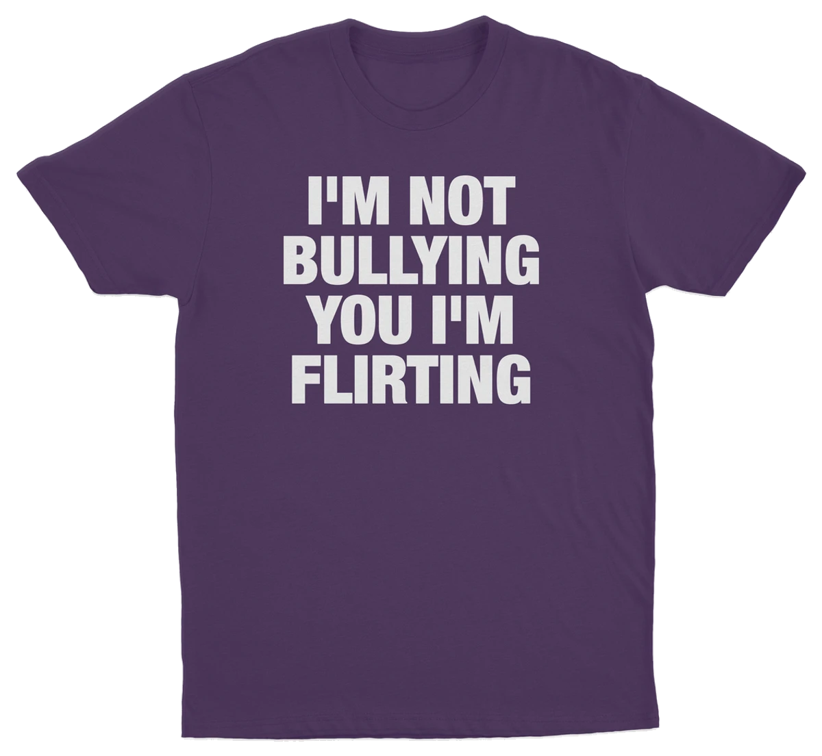 I'm Not Bullying You I'm Flirting T-Shirt