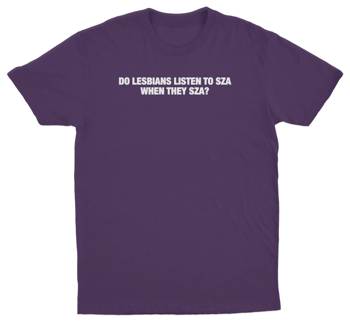 Do Lesbians Listen To SZA When They SZA T-Shirt